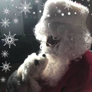 Meet your Posher, Lynn